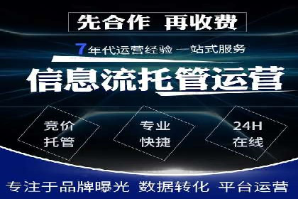 谷歌竞价广告的创意执行与效果评估——某品牌案例